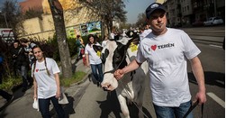 A Tesco előtt tüntetnek a tejtermelők