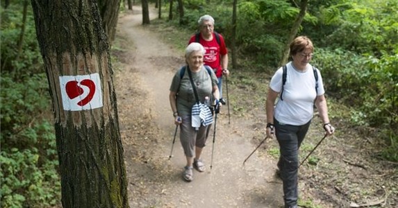 Különleges túraösvényt avattak a Farkaserdőben