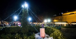 A Városháza parkban állítják fel Budapest karácsony