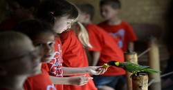 Továbbra is ingyen mehetnek állatkertbe az állami gondozott fővárosi gyerekek