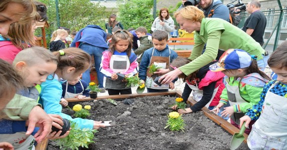 A Füvészkertben megnyílt a FűFa Tanoda