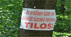 Általános tűzgyújtási tilalom van érvényben!