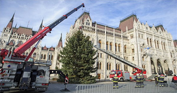 Megérkezett a karácsonyfa a Kossuth térre 