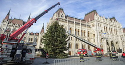 Megérkezett a karácsonyfa a Kossuth térre 